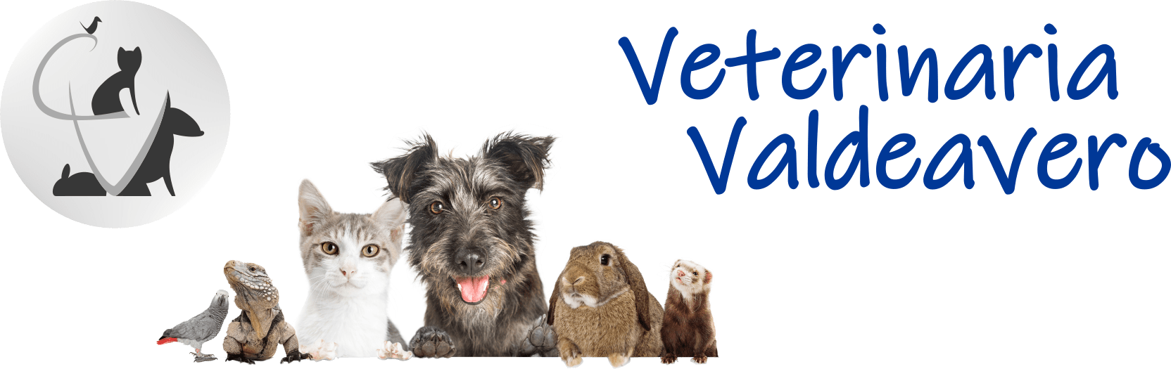 Clínica Veterinaria Valdeavero